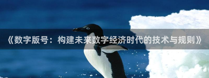 《数字版号：构建未来数字经济时代的技术与规则》