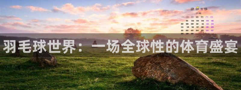 羽毛球世界：一场全球性的体育盛宴