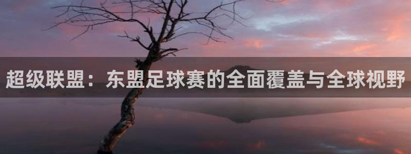 超级联盟：东盟足球赛的全面覆盖与全球视野