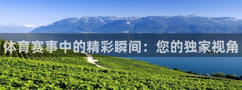 体育赛事中的精彩瞬间：您的独家视角