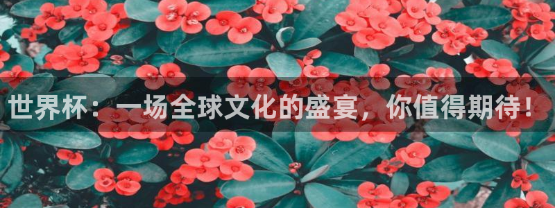 世界杯：一场全球文化的盛宴，你值得期待！