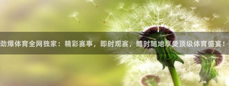 劲爆体育全网独家：精彩赛事，即时观赛，随时随地享受顶级体育盛宴！